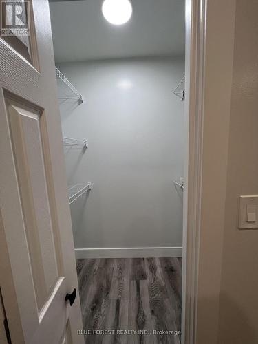 back unit closet - 23 Barnes Street, St. Thomas, ON - Indoor With Storage