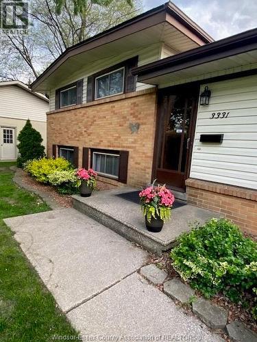 3331 Glenwood Avenue, Windsor, ON - Outdoor