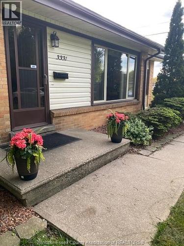 3331 Glenwood Avenue, Windsor, ON - Outdoor