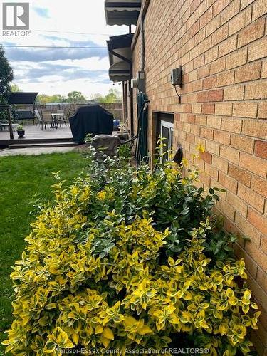 3331 Glenwood Avenue, Windsor, ON - Outdoor