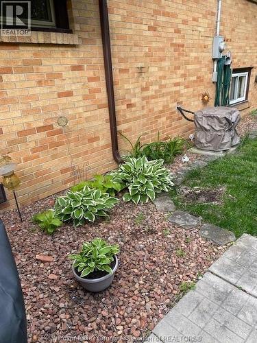 3331 Glenwood Avenue, Windsor, ON - Outdoor