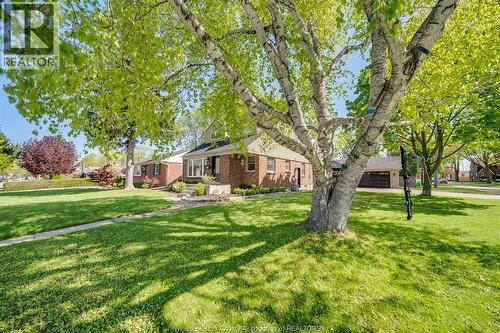 3094 Bruce, Windsor, ON - Outdoor