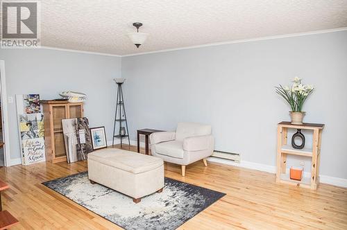 20 Swan'S Road, Placentia, NL - Indoor Photo Showing Living Room