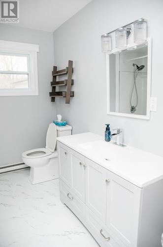 20 Swan'S Road, Placentia, NL - Indoor Photo Showing Bathroom
