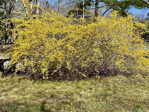 202 White Point Road, Liverpool, NS - Outdoor
