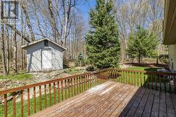 Back Deck - 