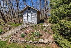 Garden Shed - 