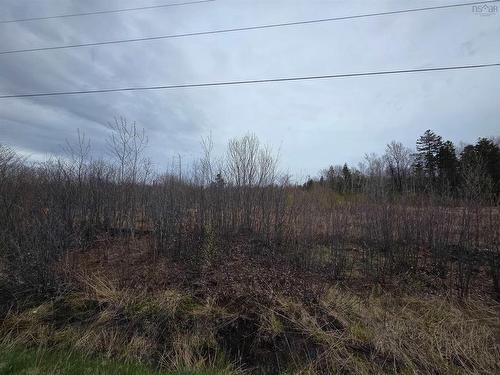 Ridge Road, North Range, NS 