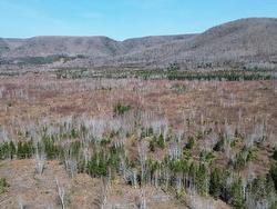 LOT 2025-2 East Big Intervale Road  Rivulet, NS B0E 2C0