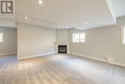Gas Fireplace - 