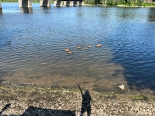 Water view - 15 Rue Alfred, Laval (Sainte-Rose), QC - Outdoor With Body Of Water With View