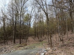 201-730 Ch. de Gaspé Bromont, QC J2L 2P7
