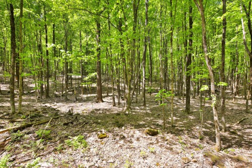 Terre/Terrain - 201-730 Ch. De Gaspé, Bromont, QC 