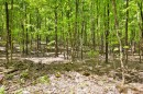 Terre/Terrain - 201-730 Ch. De Gaspé, Bromont, QC 
