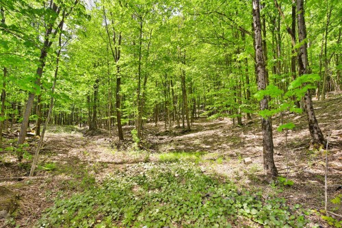 Terre/Terrain - 201-730 Ch. De Gaspé, Bromont, QC 