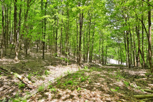 Terre/Terrain - 201-730 Ch. De Gaspé, Bromont, QC 