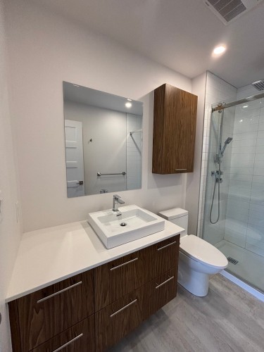 Master Bathroom - 202-30 Rue D'Ambre, Candiac, QC - Indoor Photo Showing Bathroom