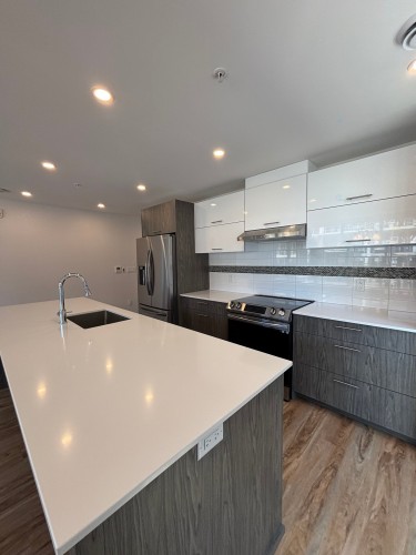 Kitchen - 202-30 Rue D'Ambre, Candiac, QC - Indoor Photo Showing Kitchen With Upgraded Kitchen