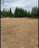 8A Sandy Stream Road, Howley, NL 