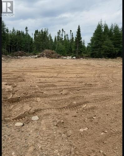 8A Sandy Stream Road, Howley, NL 