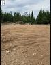 8A Sandy Stream Road, Howley, NL 