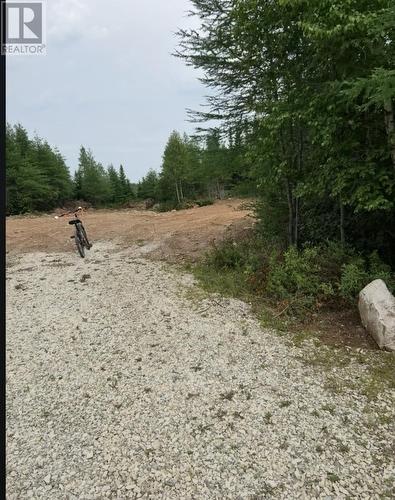 8A Sandy Stream Road, Howley, NL 