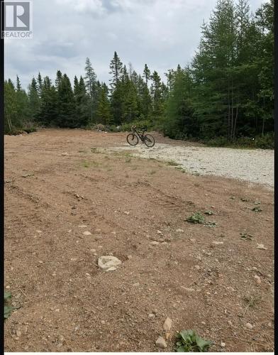 8A Sandy Stream Road, Howley, NL 
