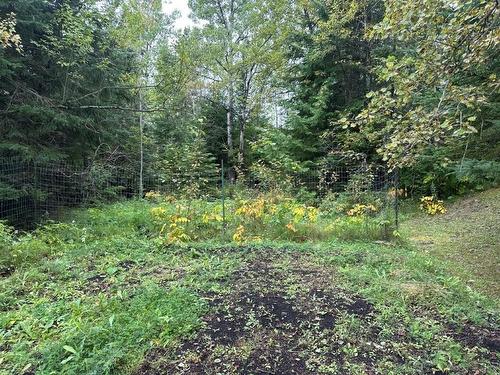 150 First Street, Nipigon, ON - Outdoor