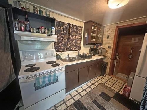 150 First Street, Nipigon, ON - Indoor Photo Showing Kitchen With Double Sink