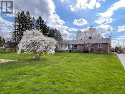 Flowering Magnolia in the spacious yard - 