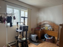 Bedroom - 