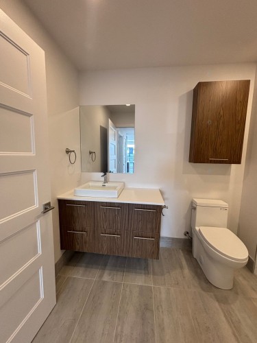 Salle de bains - 301-20 Rue D'Ambre, Candiac, QC - Indoor Photo Showing Bathroom