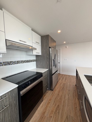 Cuisine - 301-20 Rue D'Ambre, Candiac, QC - Indoor Photo Showing Kitchen With Double Sink