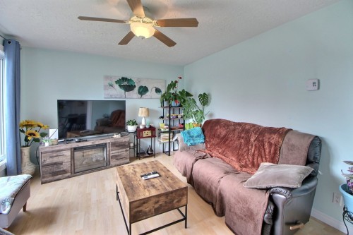 Salon - 341 Rue Taschereau, Amos, QC - Indoor Photo Showing Living Room