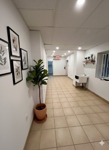 Common room - 5225 Av. Du Parc, Montréal (Le Plateau-Mont-Royal), QC - Indoor Photo Showing Other Room