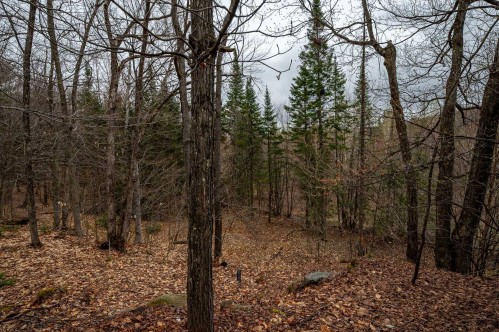 Terre/Terrain - 325 Ch. Cambria, Gore, QC - Outdoor With View