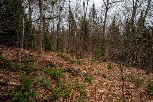 Terre/Terrain - 325 Ch. Cambria, Gore, QC - Outdoor With View