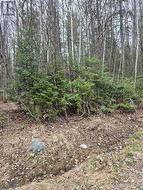 LOT 5 ARBUTUS TRAIL  Mattawan, ON P0H 1V0