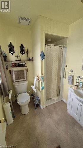Main floor bathroom with a compact shower stall featuring a curtain and grab bar. - 257 Cedar Street, Simcoe, ON - Indoor Photo Showing Bathroom