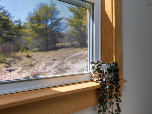 29 Frank Road, Pleasant River, NS 
