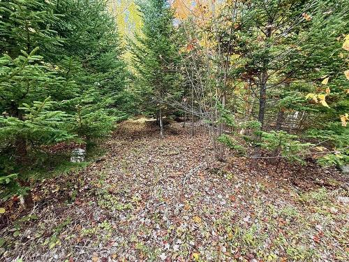 268 Eagle Rock Drive, Franey Corner, NS 