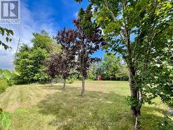 LOT 10 CONCESSION 6 CONCESSION  Brock, ON L0K 1A0