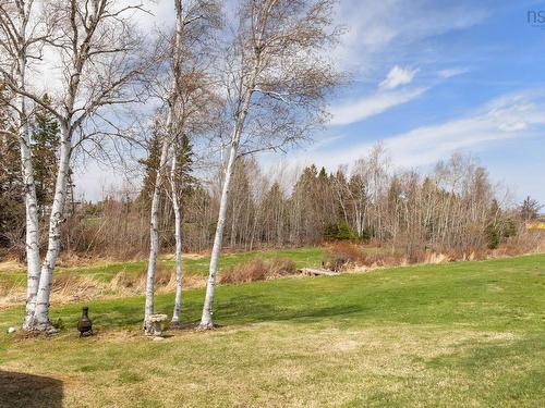 23 Heron Drive, Caribou River, NS 