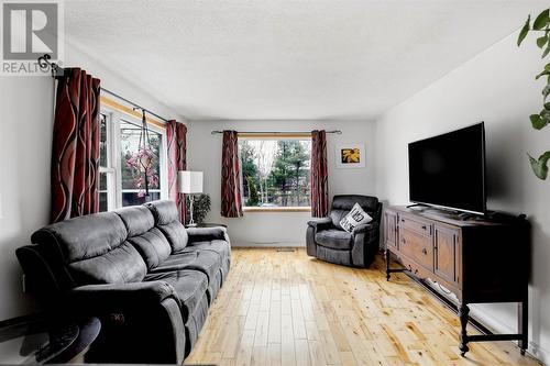 82 Frontenac St, Sault Ste. Marie, ON - Indoor Photo Showing Living Room