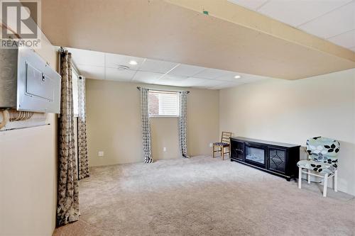 82 Frontenac St, Sault Ste. Marie, ON - Indoor Photo Showing Basement