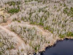 Lot 2021 Butler Road  Murphy Lake, NS B4N 3V8