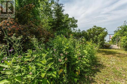 103 Birch Point Dr|Laird Township, Echo Bay, ON - Outdoor
