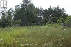 376 HIGHWAY 15 Rideau Lakes, ON K7A 0E5