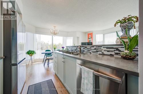 202 - 97 Lawton Boulevard, Toronto, ON - Indoor Photo Showing Kitchen With Double Sink