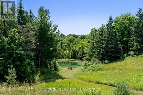 487202 30 Sdrd Side Road, Mono, ON - Outdoor With View